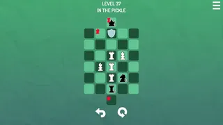 Скриншот 4 к игре SokoChess