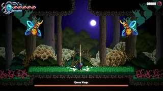 Скриншот 3 к игре Infinitevania