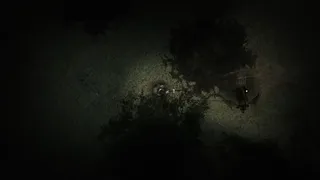 Скриншот 6 к игре Godless grove