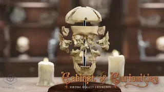 Скриншот 4 к игре Cabinet of Curiosities VR