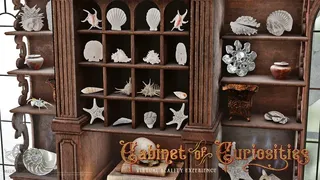 Скриншот 6 к игре Cabinet of Curiosities VR