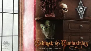 Скриншот 7 к игре Cabinet of Curiosities VR