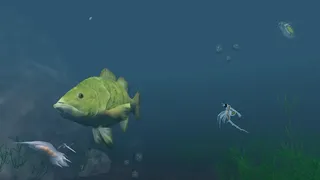 Скриншот 4 к игре The Aquatic Messenger