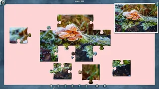Скриншот 3 к игре 1001 Jigsaw. Legends of Mystery 4