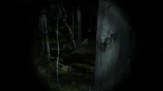 Скриншот 5 к игре Reborn : Fate Of Gods