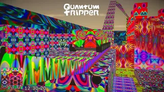 Скриншот 2 к игре Quantum Tripper