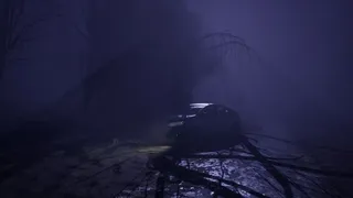 Скриншот 4 к игре Tales From Hoia Baciu Forest
