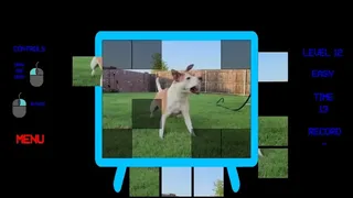 Скриншот 4 к игре Dogs Cyberpuzzle