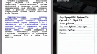 Скриншот 5 к игре Profession investigator