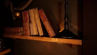 Скриншот 3 к игре Detective Max - Double Clues