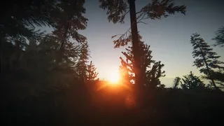 Скриншот 8 к игре The Blight
