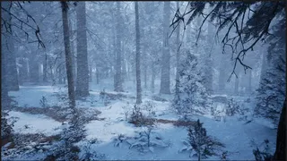 Скриншот 4 к игре Evergreen - Mountain Life Simulator