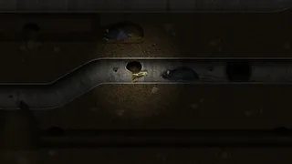 Скриншот 3 к игре A toad well travelled