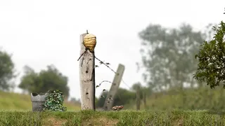 Скриншот 4 к игре A toad well travelled