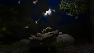 Скриншот 7 к игре A toad well travelled