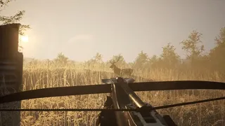 Скриншот 4 к игре Sword & Shield Simulator