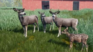 Скриншот 1 к игре Wilderness Survival: The Conservationist