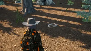 Скриншот 5 к игре Wilderness Survival: The Conservationist