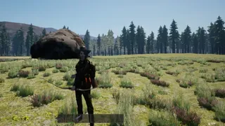 Скриншот 6 к игре Wilderness Survival: The Conservationist