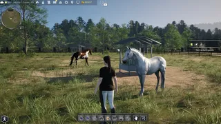 Скриншот 1 к игре Unbridled: That Horse Game