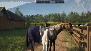 Скриншот 7 к игре Unbridled: That Horse Game