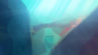 Скриншот 3 к игре Avici 无间