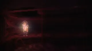 Super Lone Survivor