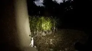 Скриншот 6 к игре Dr.Pumpkin Chapter 2: The SCP hunt
