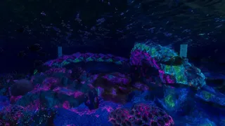 Скриншот 1 к игре Project AlbatrOS