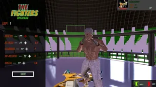 Скриншот 2 к игре TheFighters Online