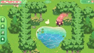 Скриншот 2 к игре Territorial Duck