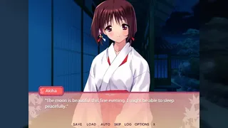 Скриншот 4 к игре Miko no Kanata: Curious Tales from Oguni Shrine -Cycles-