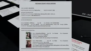 Скриншот 5 к игре Case Files: The Death of Paulette Williams