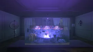 Скриншот 1 к игре Aquarist VR