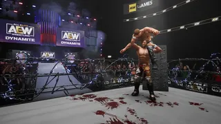 Скриншот 2 к игре AEW: Fight Forever