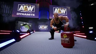 Скриншот 5 к игре AEW: Fight Forever