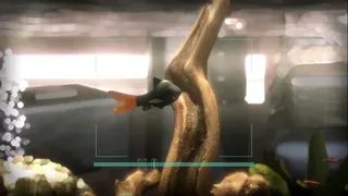 Скриншот 3 к игре Snapshot Aquarium