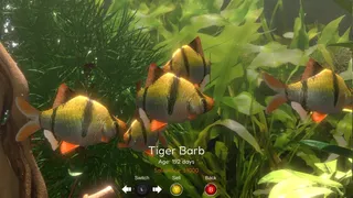 Скриншот 6 к игре Snapshot Aquarium