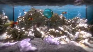 Скриншот 7 к игре Snapshot Aquarium