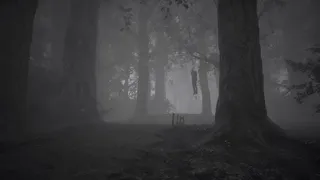 Скриншот 5 к игре IMAGO: Beyond the Nightmares