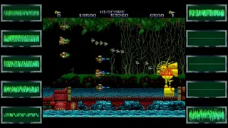 Скриншот 3 к игре Zero Wing