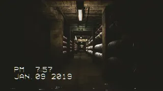 Скриншот 5 к игре The Backrooms Footage
