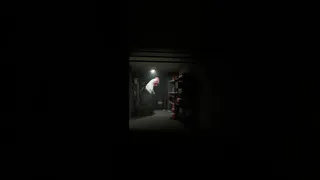 Скриншот 6 к игре Chicken Feet