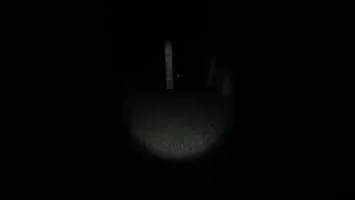 Скриншот 2 к игре Night of the Wererat