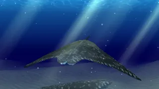 Скриншот 5 к игре Photo-Toy Oceans