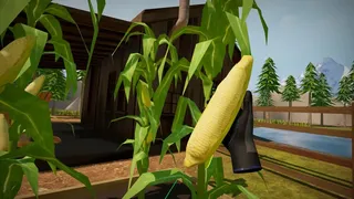 Скриншот 5 к игре Morels: Homestead