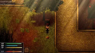 Скриншот 4 к игре Divine Legacy: Neo Amburia