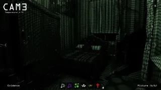 Скриншот 1 к игре Paranormal Observation