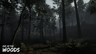 Скриншот 1 к игре Out of the Woods