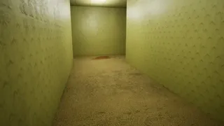 Скриншот 2 к игре BACKROOMS